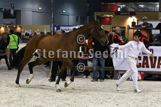 NADA BRAUN_MILANO_2010_SS3_1526.jpg